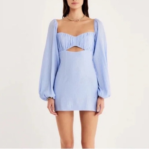 RUMER | Camille Cotton Cutout Long Sleeve Mini Dress Blue | Large New with Tag - Picture 1 of 13